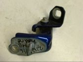 Rear door lower hinge