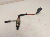 AdBlue injector