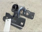 Tailgate/trunk/boot hinge