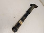 Rear shock absorber/damper