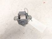 Tailgate/trunk/boot hinge