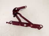 Tailgate/trunk/boot hinge