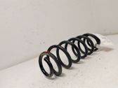 Rear coil spring