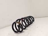 Rear coil spring