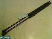Tailgate strut