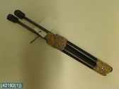Jambe de force de hayon