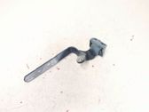 Tailgate/trunk/boot hinge