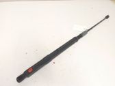 Front bonnet/hood damper/strut