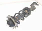 Front shock absorber with coil spring