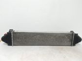 Intercooler radiator