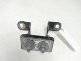 Tailgate/trunk/boot hinge