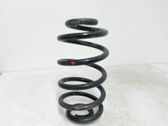 Rear coil spring