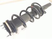 Front shock absorber with coil spring