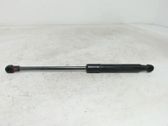 Front bonnet/hood damper/strut