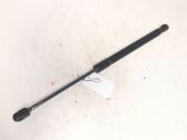 Tailgate strut