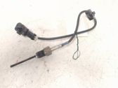 Abgastemperatursensor