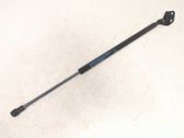 Tailgate strut