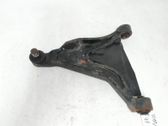 Front lower control arm/wishbone
