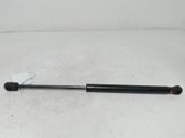 Front bonnet/hood damper/strut