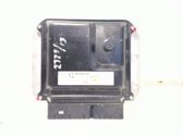 Injection control unit/module