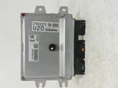 Injection control unit/module