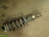Front shock absorber with coil spring