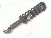 Front shock absorber with coil spring
