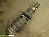 Front shock absorber with coil spring