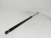 Tailgate strut