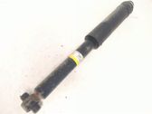 Rear shock absorber/damper