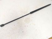 Amortizatorius su spyruokle