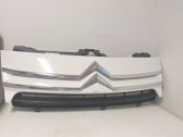 Front bumper lower grill