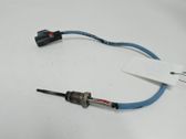 Abgastemperatursensor