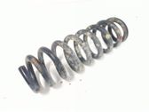 Rear coil spring