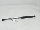 Front bonnet/hood damper/strut