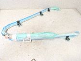 Airbag de toit