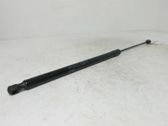 Tailgate strut