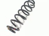 Muelle espiral trasero