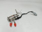 AdBlue injector