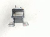 Tailgate/trunk/boot hinge
