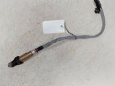 Sonde lambda