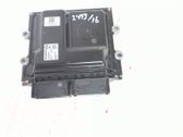 Injection control unit/module