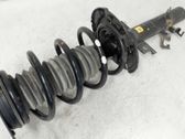 Front shock absorber with coil spring