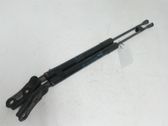 Tailgate strut