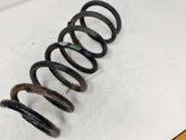 Rear coil spring