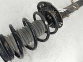 Front shock absorber with coil spring