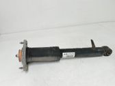 Stoßdämpfer hinten