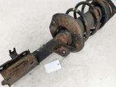 Front shock absorber with coil spring