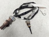 Sensor de temperatura del escape