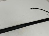 Tailgate/trunk strut/damper